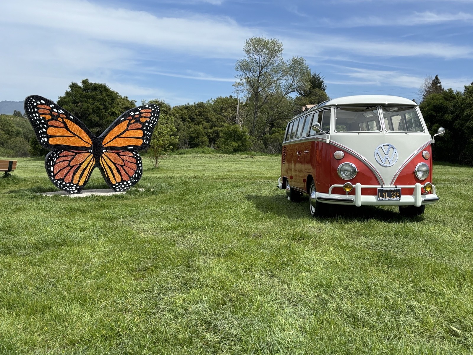 Volkswagen-Microbus-1964-Wagon