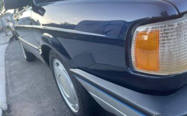 Volkswagen-Other-1991-Blue-9