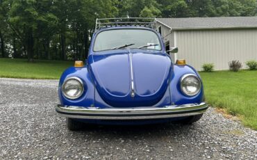 Volkswagen-Super-beetle-1971-Blue-Off-White-6