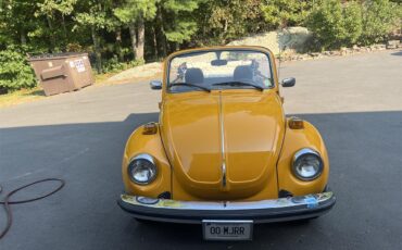 Volkswagen-Super-beetle-1978-Canary-yellow-Black-1