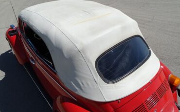 Volkswagen-Super-beetle-1979-Red-Orange-Black-38