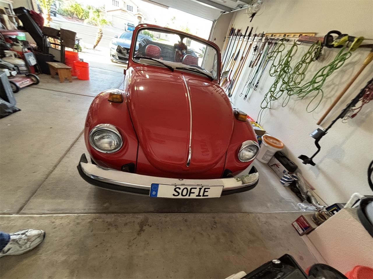 Volkswagen-Super-beetle-1979-Red-RedBlack-2