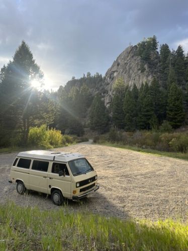 Volkswagen-Vanagon-1980-Creme-Brown-3
