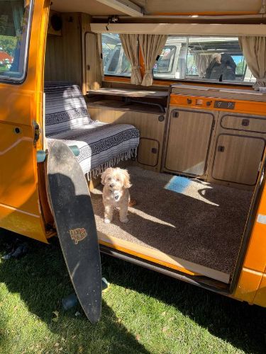 Volkswagen-Vanagon-1981-Orange