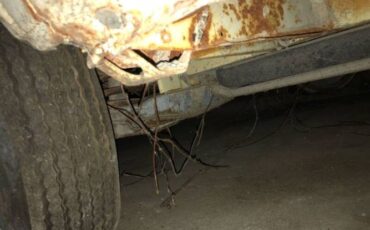 Volkswagen-Vanagon-1981-Tan-Tan-1