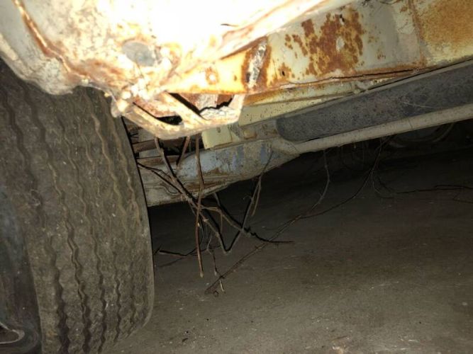 Volkswagen-Vanagon-1981-Tan-Tan-1