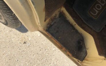 Volkswagen-Vanagon-1981-Tan-Tan-28