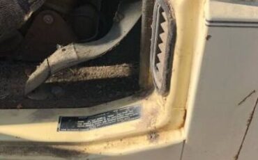 Volkswagen-Vanagon-1981-Tan-Tan-7