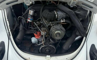 Volkswagen-Volkswagen-convertibl-1979-white-11