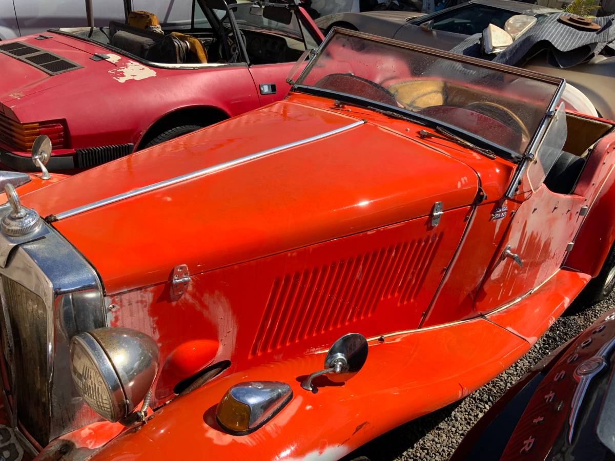 Volkswagen-Vw-1980-orange-3