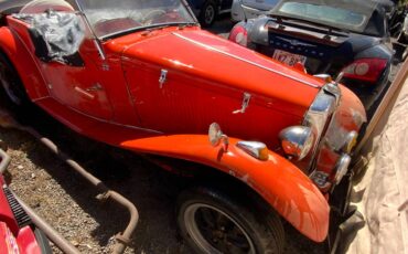 Volkswagen-Vw-1980-orange