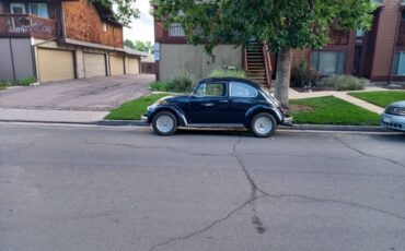 Volkswagen-Vw-beetle-1970-blue