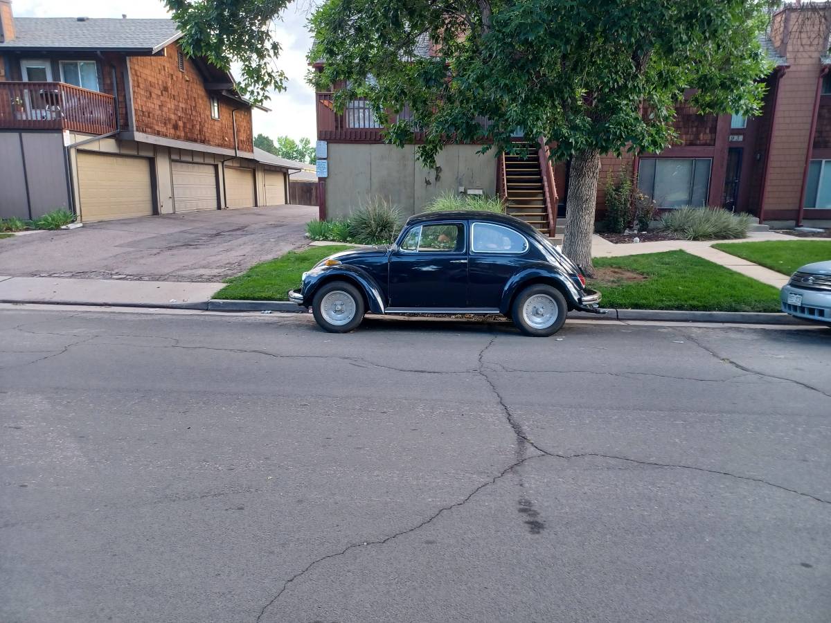 Volkswagen-Vw-beetle-1970-blue