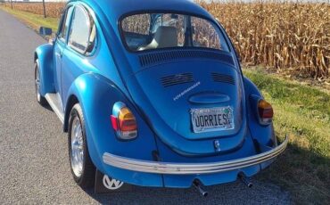 Volkswagen-Vw-beetle-1970-blue-14