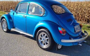 Volkswagen-Vw-beetle-1970-blue-15