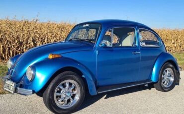 Volkswagen-Vw-beetle-1970-blue-17