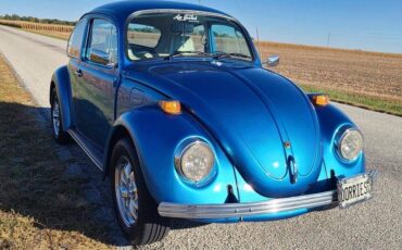 Volkswagen-Vw-beetle-1970-blue-19