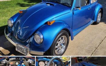 Volkswagen-Vw-beetle-1970-blue-23