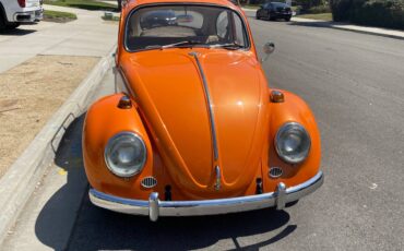 Volkswagen-Vw-bug-1966-orange-5