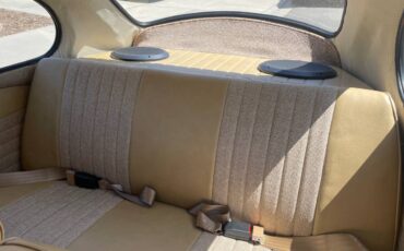 Volkswagen-Vw-bug-1966-orange-7