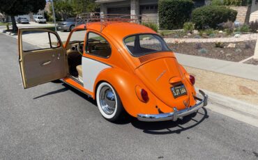 Volkswagen-Vw-bug-1966-orange-9