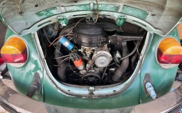 Volkswagen-Vw-bug-v-1974-green-2