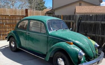 Volkswagen-Vw-bug-v-1974-green
