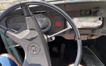 Volkswagen-Vw-bug-v-1974-green-4