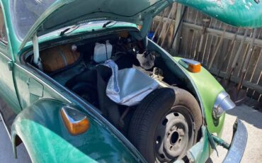 Volkswagen-Vw-bug-v-1974-green-5