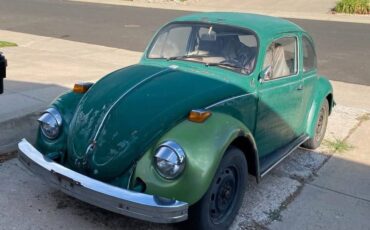 Volkswagen-Vw-bug-v-1974-green-6