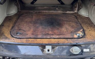 Volkswagen-Vw-fastback-1967-black-7