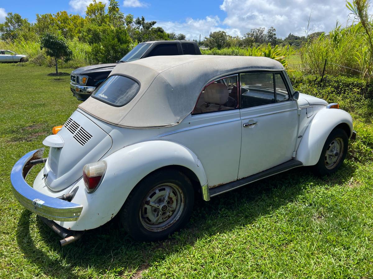 Volkswagen-Vw-super-beetle-1979-white-14