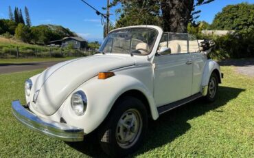 Volkswagen-Vw-super-beetle-1979-white-15