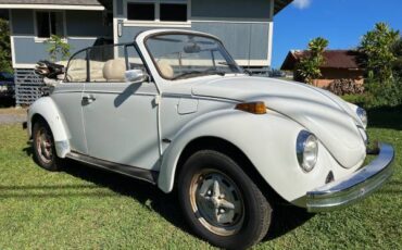 Volkswagen-Vw-super-beetle-1979-white