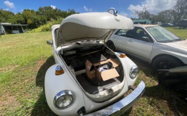 Volkswagen-Vw-super-beetle-1979-white-4