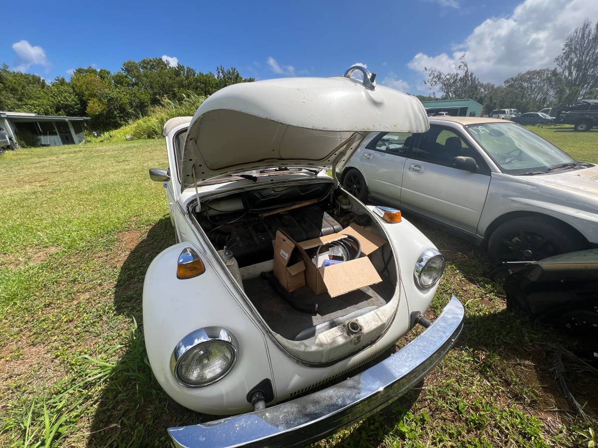 Volkswagen-Vw-super-beetle-1979-white-4