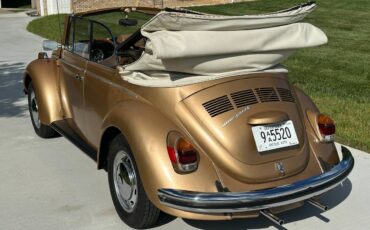 Volkswagen-Vw-super-beetle-convertible-1971-4