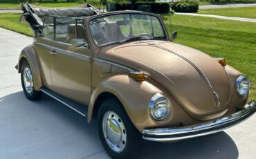 Volkswagen-Vw-super-beetle-convertible-1971-6