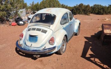 Volkswagen-Vw-superbeetle-1972-4