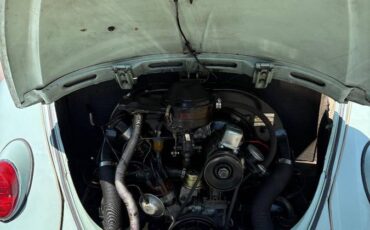 Volkswagen-Vwbeetle-1965-blue-18