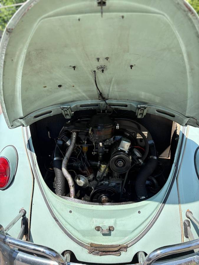 Volkswagen-Vwbeetle-1965-blue-4