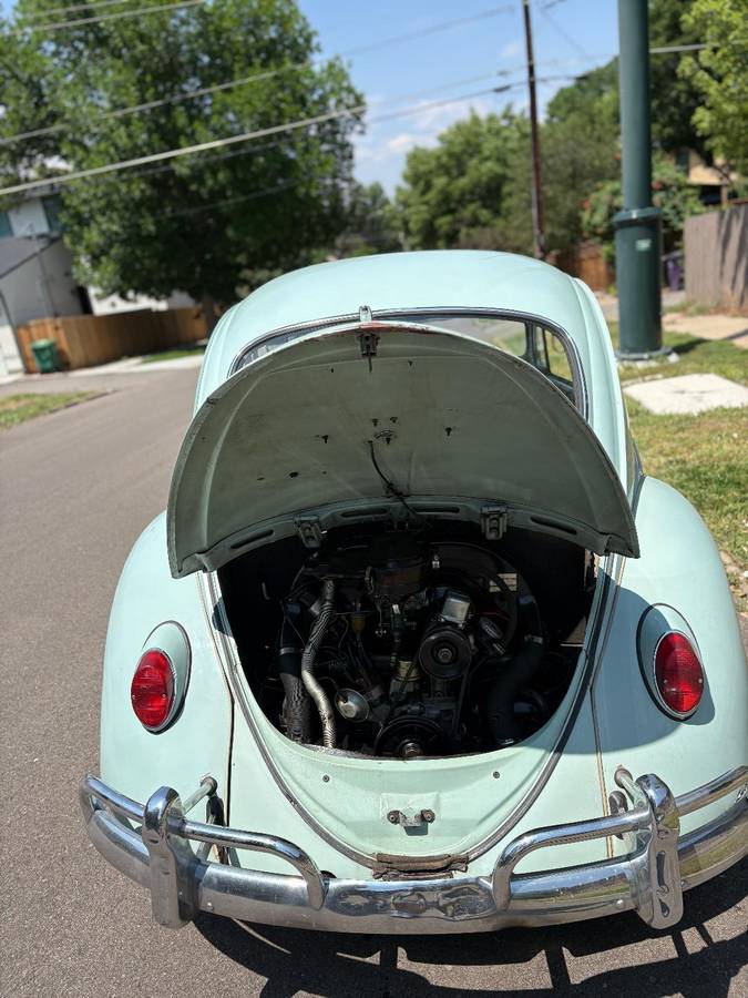 Volkswagen-Vwbeetle-1965-blue-5