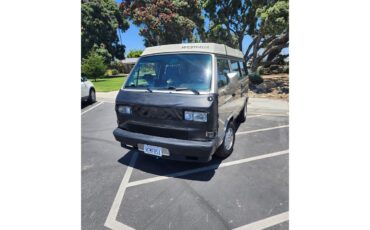 Volkswagen-Westfalia-camper-1991-Bronze-Gray-2