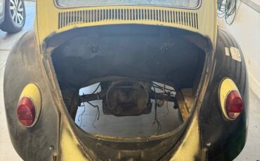 Volkswagen-beetle-1963-3