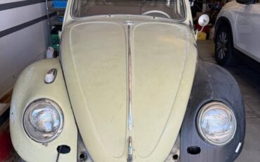 Volkswagen-beetle-1963