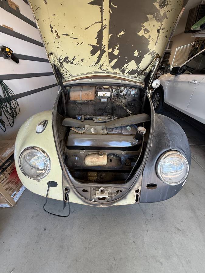 Volkswagen-beetle-1963-8