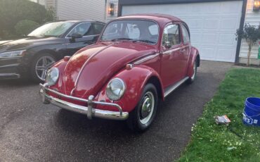 Volkswagen-beetle-1966-red-1