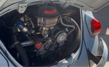 Volkswagen-beetle-1969-blue-13