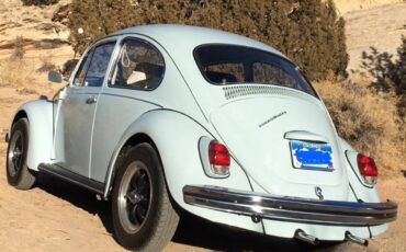 Volkswagen-beetle-1969-blue-5