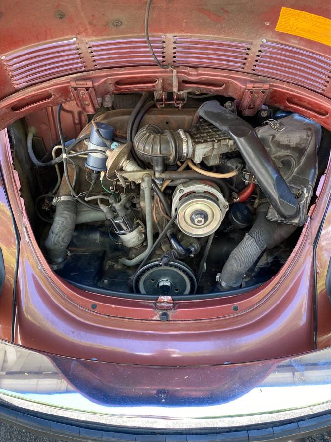Volkswagen-beetle-1978-red-8